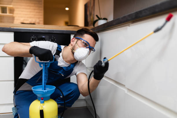 Best Local Pest Control Services  in Dayton, TN