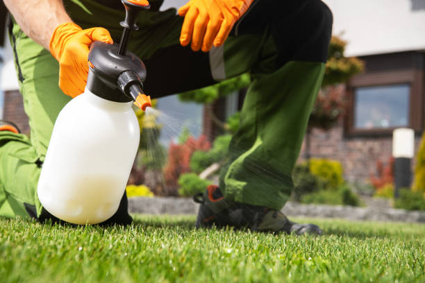Best Commercial Pest Control Services  in Dayton, TN