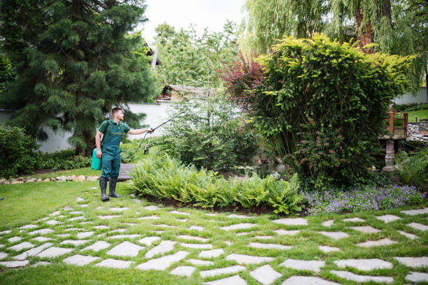Best Pest Prevention Services  in Dayton, TN