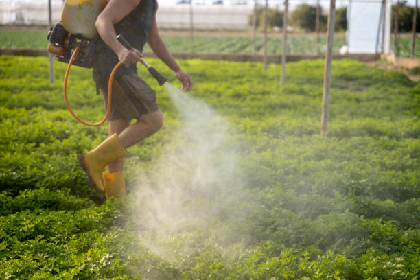 Best Pest Removal Services  in Dayton, TN