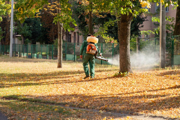 Best Best Pest Control Companies  in Dayton, TN