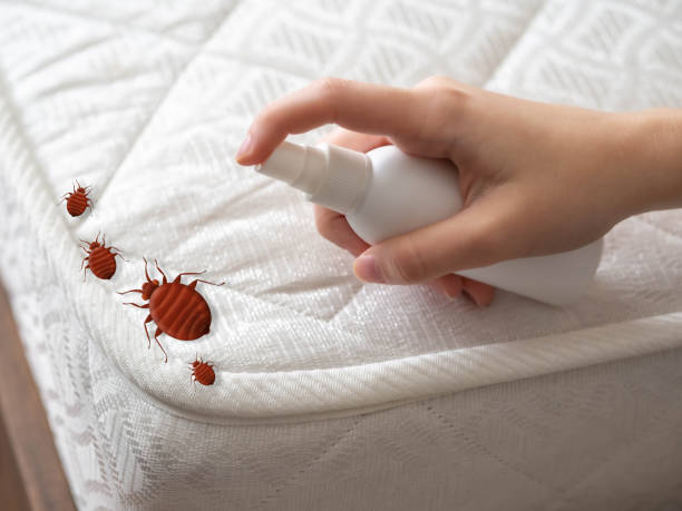Best Insect Control  in Dayton, TN