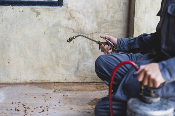 Best Exterminator Services  in Dayton, TN
